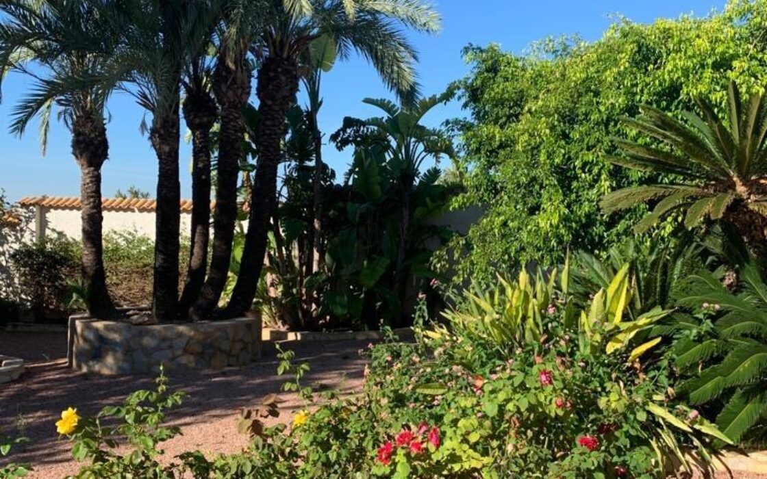 Эффектная вилла в Сьюдад-Кесада с бассейном и видом 236 кв.м