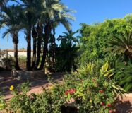 Эффектная вилла в Сьюдад-Кесада с бассейном и видом 236 кв.м