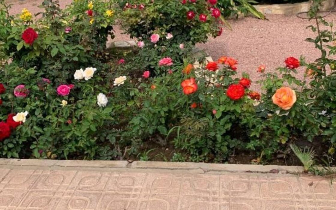 Эффектная вилла в Сьюдад-Кесада с бассейном и видом 236 кв.м