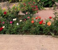 Эффектная вилла в Сьюдад-Кесада с бассейном и видом 236 кв.м