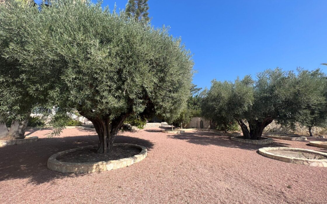 Эффектная вилла в Сьюдад-Кесада с бассейном и видом 236 кв.м