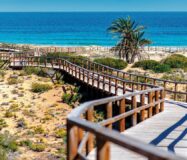 Новые апартаменты с террасой в Аленда Гольф 99 кв.м