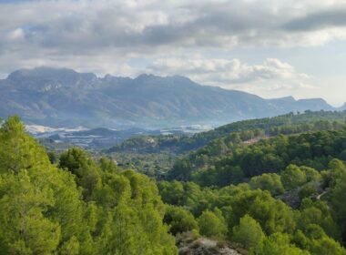 Просторная вилла с террасами в Ла Нусии, 290 кв.м, уединение