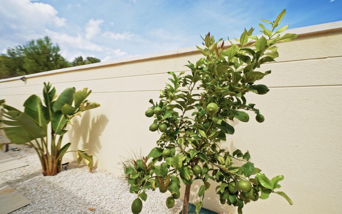 Простора вілла на Коста Бланці з терасою та басейном