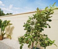 Простора вілла на Коста Бланці з терасою та басейном