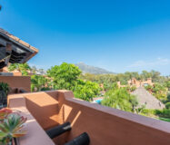 Пентхаус в Новой Андалусии с террасой 203 кв.м