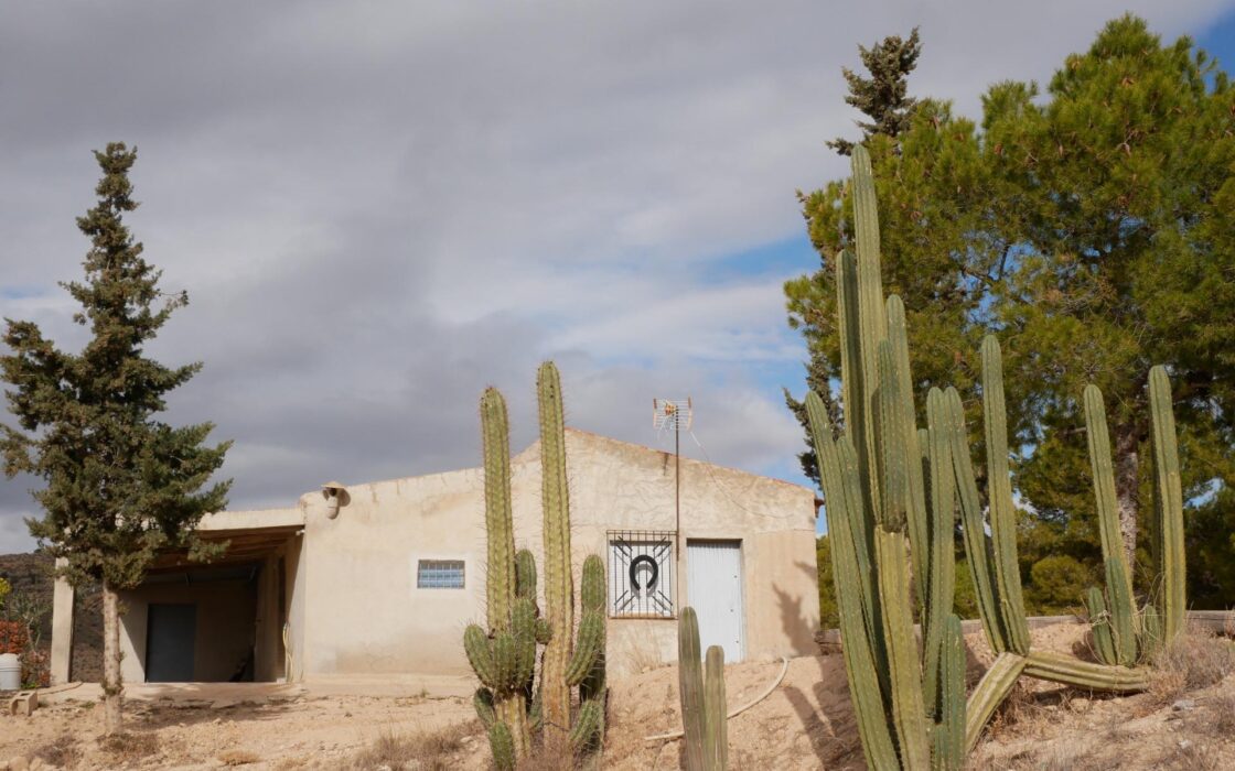 Будинок в Abanilla 100 кв.м з ділянкою 15652 кв.м біля річки