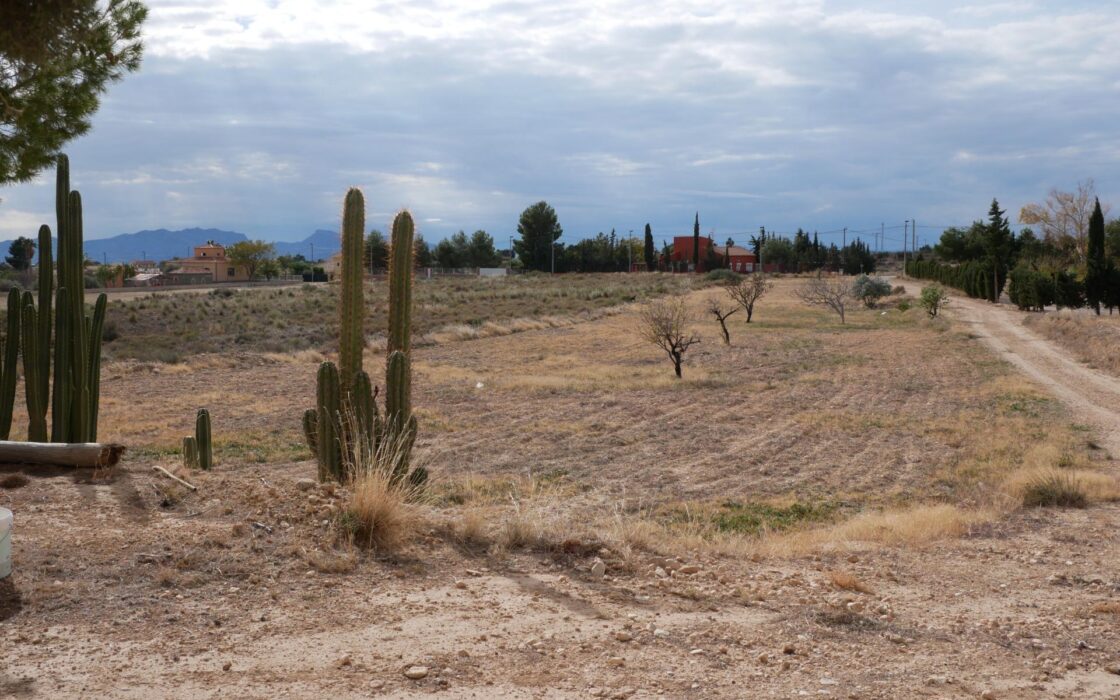 Будинок в Abanilla 100 кв.м з ділянкою 15652 кв.м біля річки