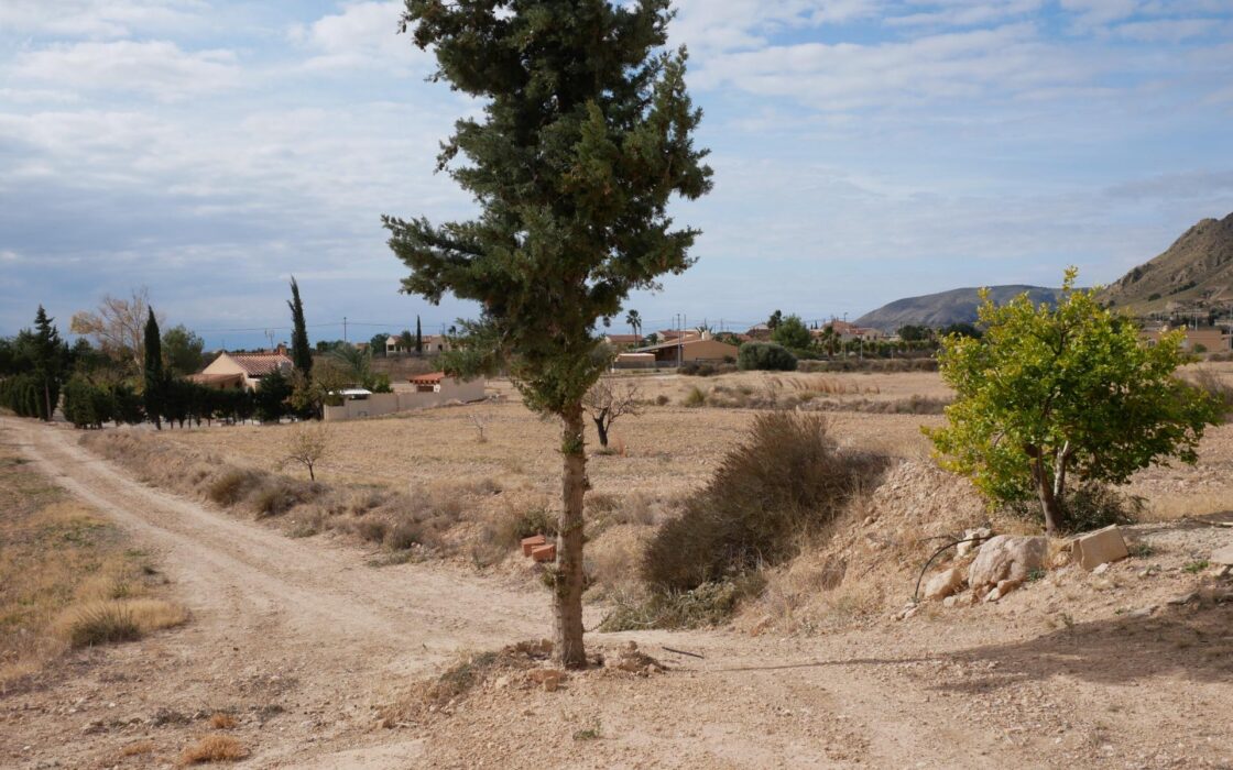 Будинок в Abanilla 100 кв.м з ділянкою 15652 кв.м біля річки