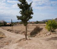 Будинок в Abanilla 100 кв.м з ділянкою 15652 кв.м біля річки