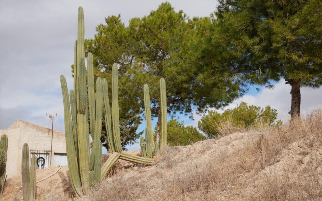 Будинок в Abanilla 100 кв.м з ділянкою 15652 кв.м біля річки