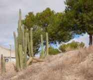 Будинок в Abanilla 100 кв.м з ділянкою 15652 кв.м біля річки