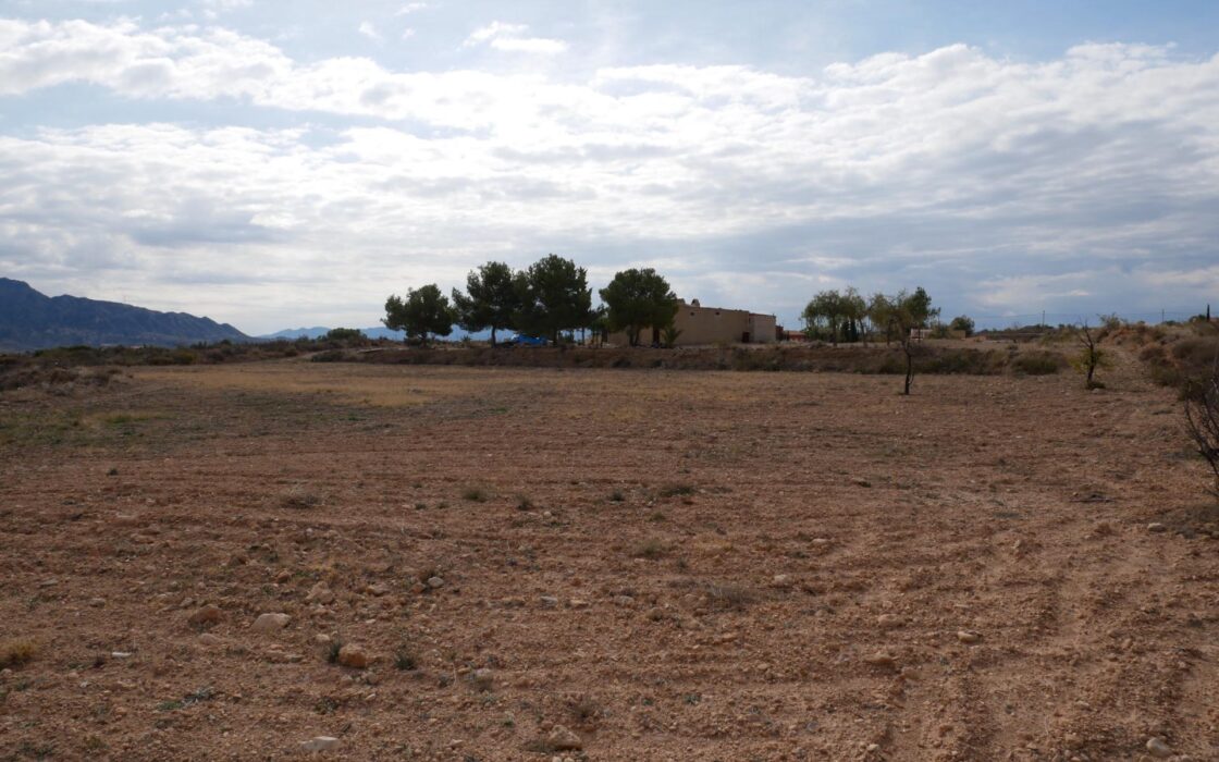 Будинок в Abanilla 100 кв.м з ділянкою 15652 кв.м біля річки