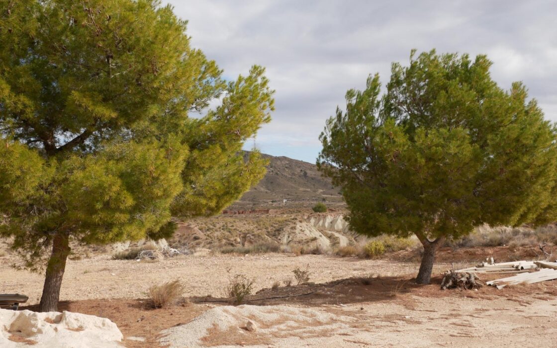 Будинок в Abanilla 100 кв.м з ділянкою 15652 кв.м біля річки