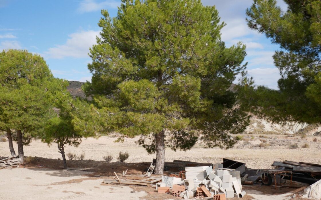 Будинок в Abanilla 100 кв.м з ділянкою 15652 кв.м біля річки