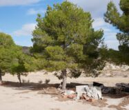 Будинок в Abanilla 100 кв.м з ділянкою 15652 кв.м біля річки