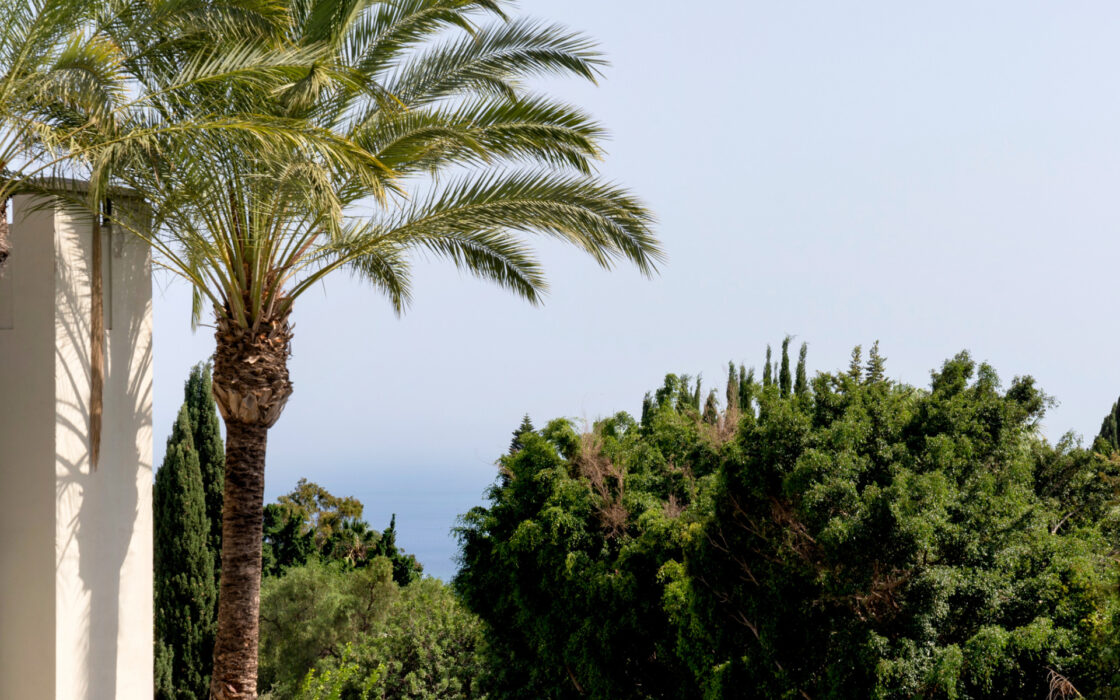 Четырехкомнатная квартира с террасой в Малаге 196 кв.м