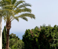 Четырехкомнатная квартира с террасой в Малаге 196 кв.м