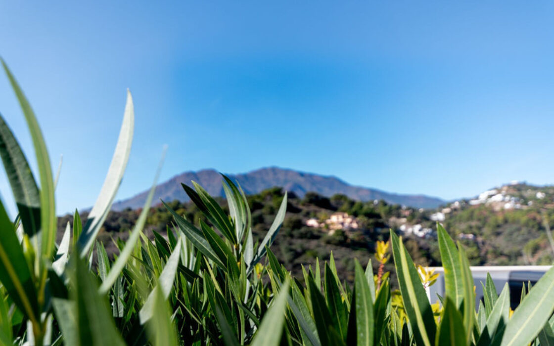 Роскошная квартира у моря в Кадисе с террасой 161 кв.м