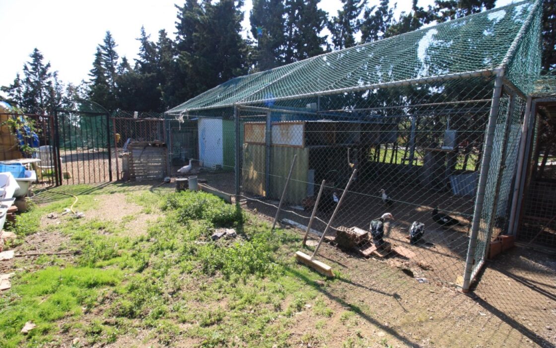 Будинок в Оріуела Коста з терасою та басейном 200 кв.м