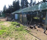 Будинок в Оріуела Коста з терасою та басейном 200 кв.м