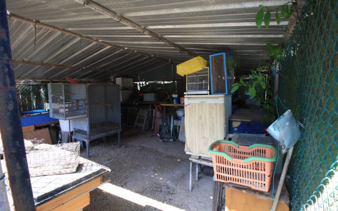 Будинок в Оріуела Коста з терасою та басейном 200 кв.м