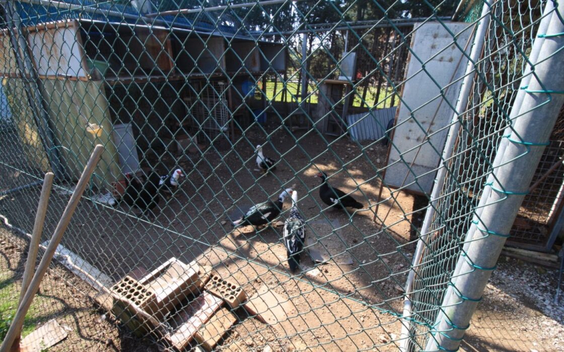 Будинок в Оріуела Коста з терасою та басейном 200 кв.м