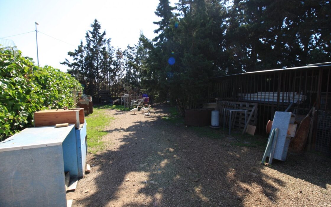 Будинок в Оріуела Коста з терасою та басейном 200 кв.м