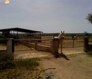 Хасінді в Ельче 705 кв.м з терасою 5 км від моря