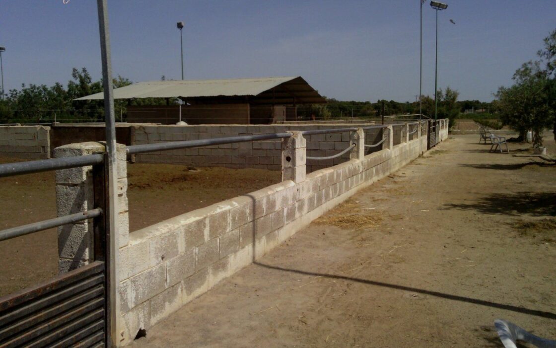 Хасінді в Ельче 705 кв.м з терасою 5 км від моря