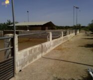 Хасінді в Ельче 705 кв.м з терасою 5 км від моря