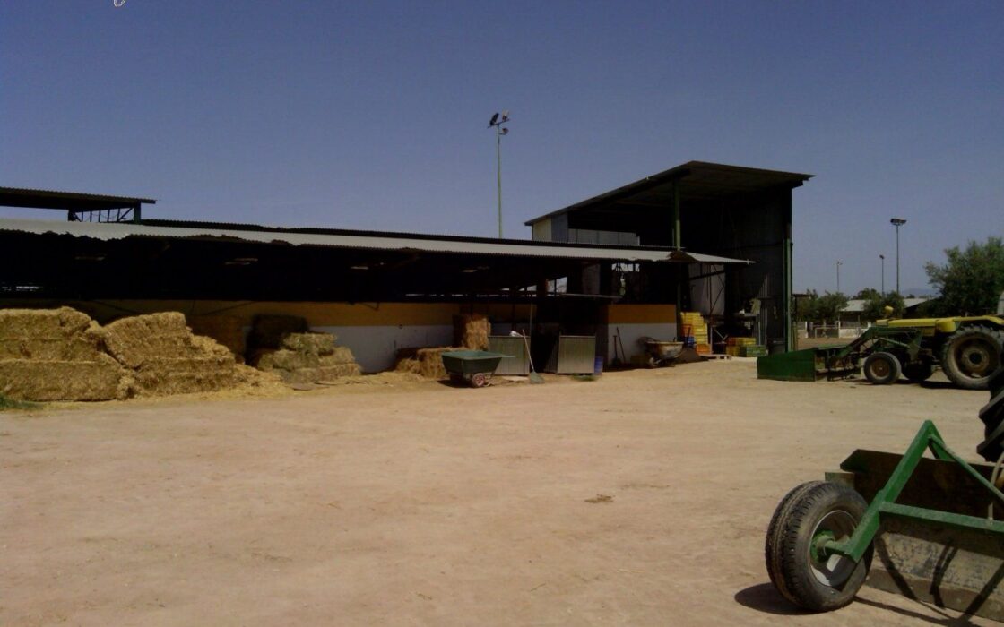 Хасінді в Ельче 705 кв.м з терасою 5 км від моря