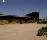 Хасінді в Ельче 705 кв.м з терасою 5 км від моря