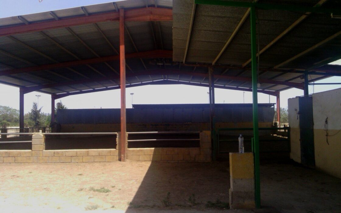 Хасінді в Ельче 705 кв.м з терасою 5 км від моря