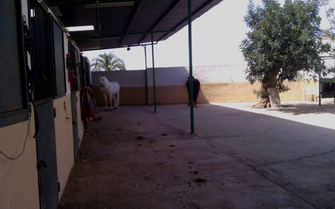 Хасінді в Ельче 705 кв.м з терасою 5 км від моря