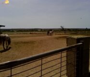 Хасінді в Ельче 705 кв.м з терасою 5 км від моря