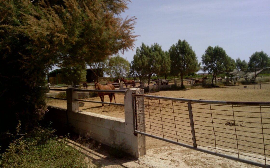 Хасінді в Ельче 705 кв.м з терасою 5 км від моря