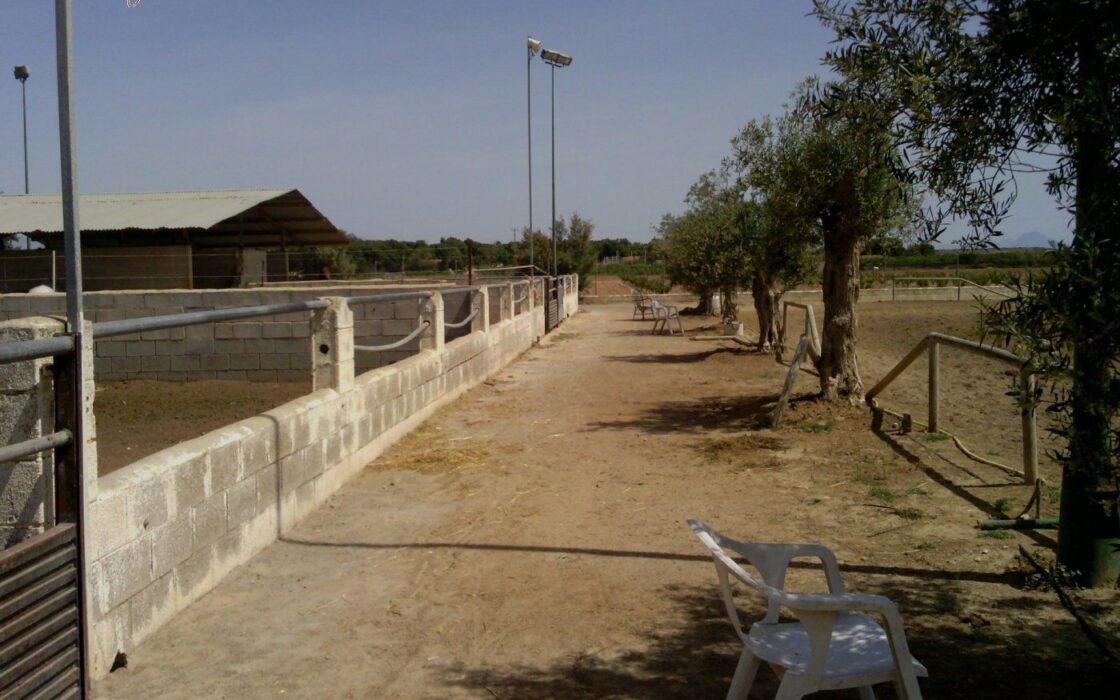 Хасінді в Ельче 705 кв.м з терасою 5 км від моря