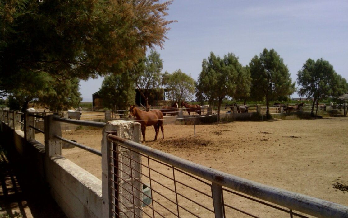 Хасінді в Ельче 705 кв.м з терасою 5 км від моря