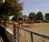 Хасінді в Ельче 705 кв.м з терасою 5 км від моря