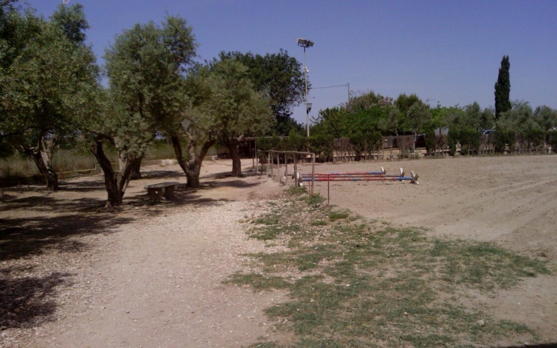 Хасінді в Ельче 705 кв.м з терасою 5 км від моря