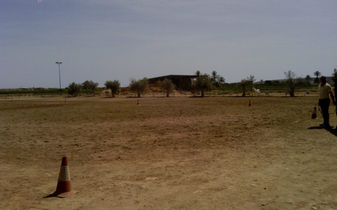 Хасінді в Ельче 705 кв.м з терасою 5 км від моря