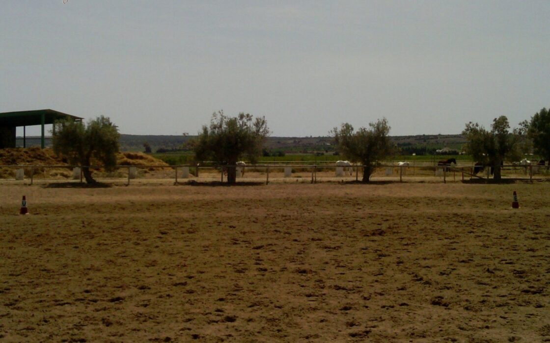 Хасінді в Ельче 705 кв.м з терасою 5 км від моря