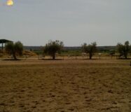 Хасінді в Ельче 705 кв.м з терасою 5 км від моря