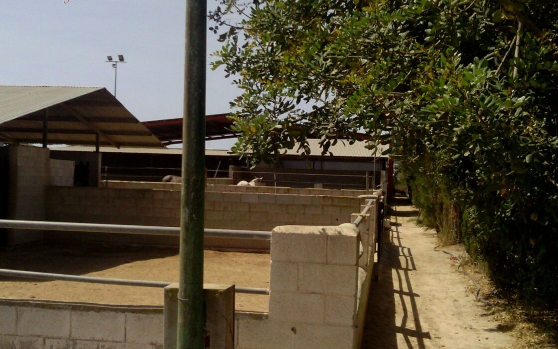 Хасінді в Ельче 705 кв.м з терасою 5 км від моря