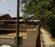 Хасінді в Ельче 705 кв.м з терасою 5 км від моря