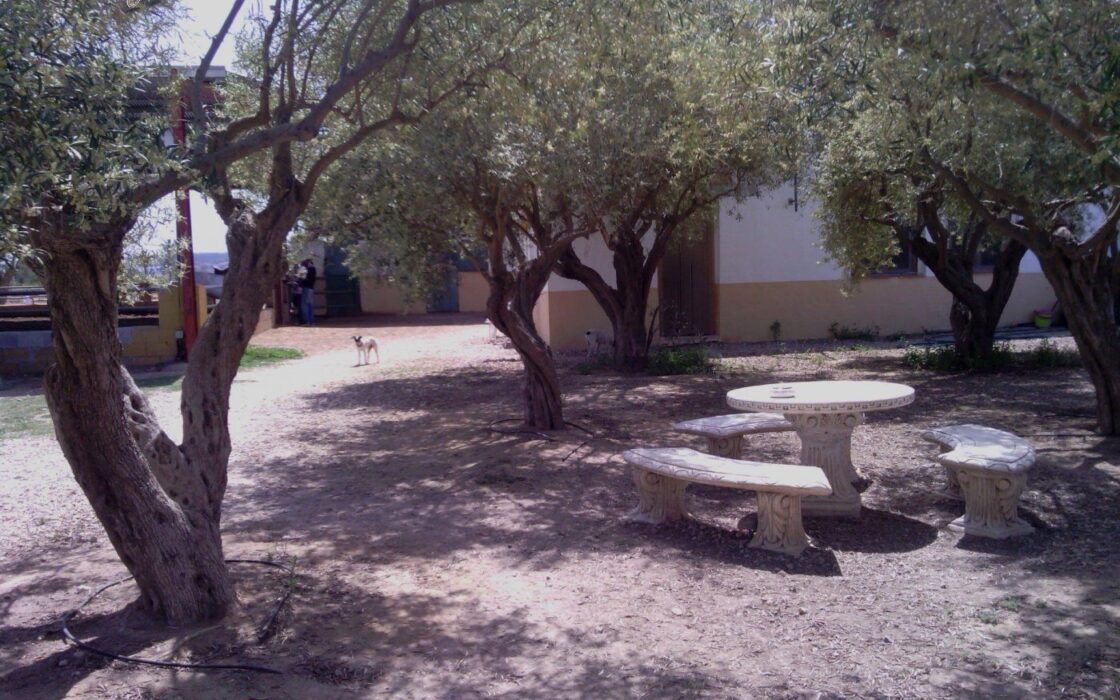 Хасінді в Ельче 705 кв.м з терасою 5 км від моря