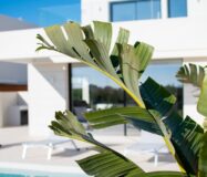 Вілли в Лос-Монтесинос з приватним басейном та терасою