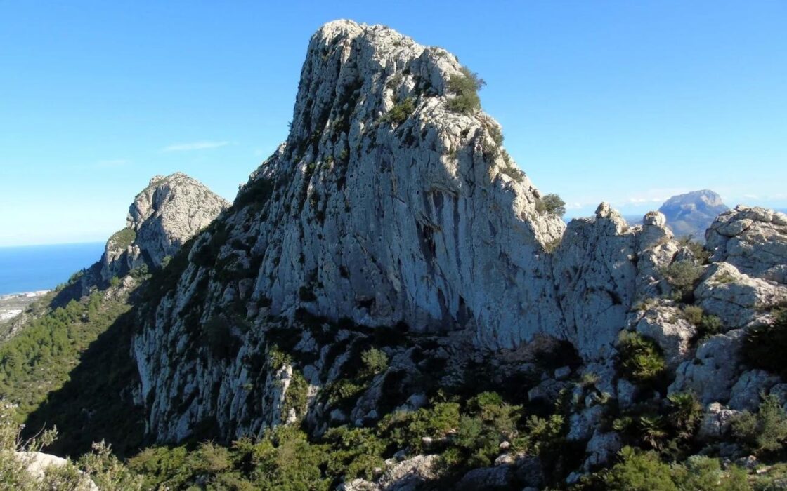 Нові екологічні будинки в Ель-Вержере біля моря з терасами