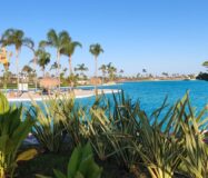 Апартаменты 3 комнаты в Мурсии 2024 года с террасой